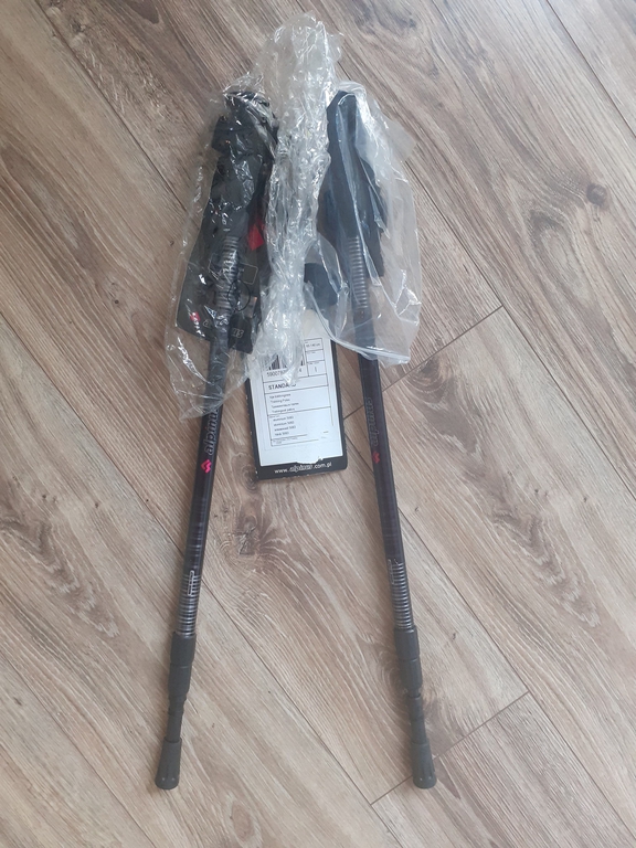 Kije trekkingowe Alpinus standard