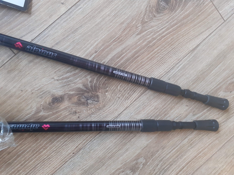 Kije trekkingowe Alpinus standard (3)