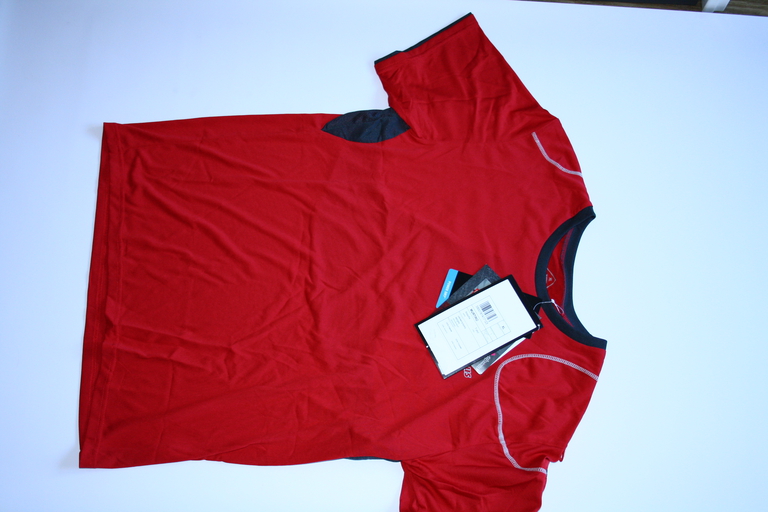 Męski T-Shirt koszulka termoaktywna Polartec Power Dry ALPINUS MURTINO czerwony (2)