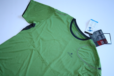 Męski T-Shirt koszulka termoaktywna Polartec Power Dry ALPINUS MURTINO zielony